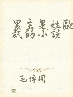 男主是姓欧的总裁的小说