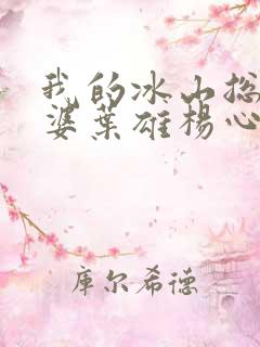 我的冰山总裁老婆叶雄杨心怡