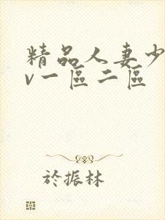 精品人妻少妇av一区二区