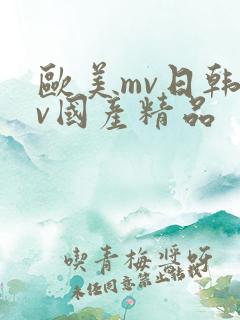 欧美mv日韩mv国产精品