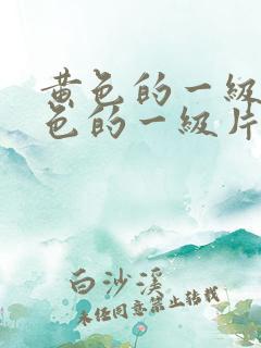 黄色的一级片黄色的一级片