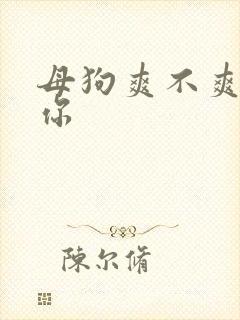 母狗爽不爽操死你