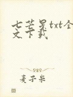 七芒星txt全文下载