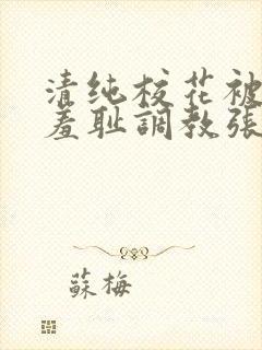 清纯校花被民工羞耻调教张蕊