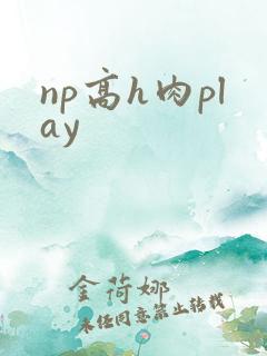 np高h肉play