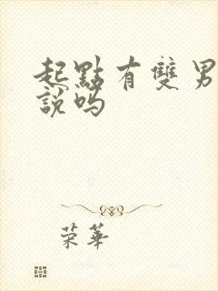 起点有双男主小说吗