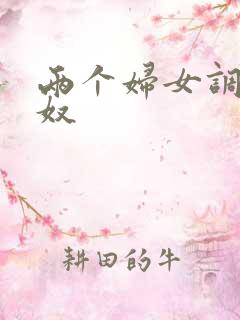 两个妇女调教男奴