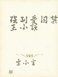 强制爱囚禁双男主小说