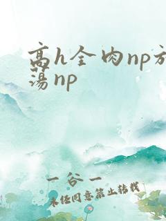 高h全肉np放荡np