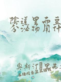 阴道里面豆腐渣分泌物用什么药