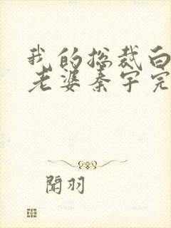 我的总裁白富美老婆秦宇完结