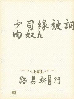 少司缘被调教成肉奴h