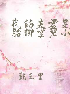 我的夫君是双胞胎柳云儿小说全文