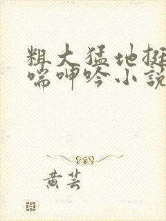 粗大猛地挺进娇喘呻吟小说