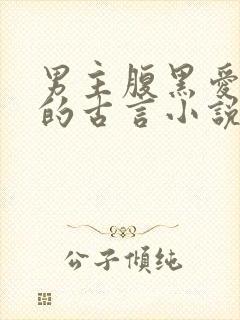 男主腹黑爱吃醋的古言小说