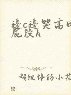 边c边哭高肉打屁股h