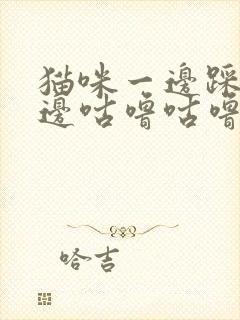 猫咪一边踩奶一边咕噜咕噜