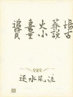 追妻火葬场的高质量小说古言