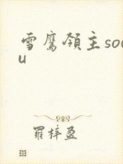 雪鹰领主sodu