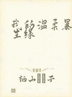 我的温柔暴君再生缘