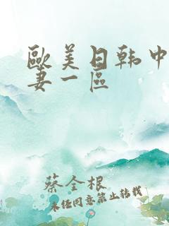 欧美日韩中文人妻一区