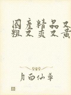 国产精品又猛又粗又爽又黄视频