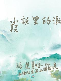 小说里的激情片段