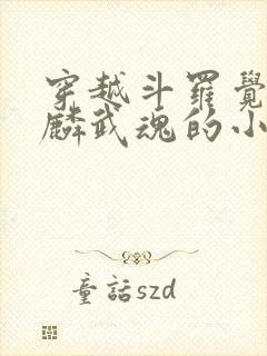 穿越斗罗觉醒麒麟武魂的小说