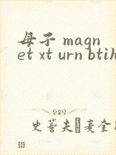母子 magnet xt urn btih