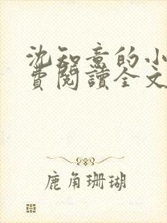 沈知意的小说免费阅读全文