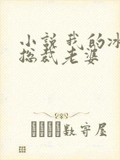 小说 我的冰山总裁老婆