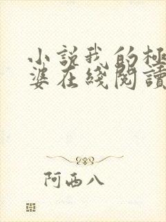 小说我的极品老婆在线阅读