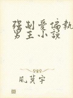 强制爱偏执疯双男主小说