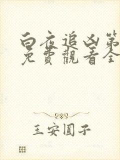 白夜追凶第2季免费观看全集