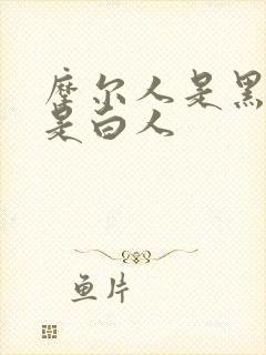 摩尔人是黑人还是白人