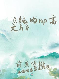 《纯肉np高辣文h》