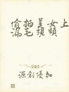 偷拍美女上厕所漏毛视频