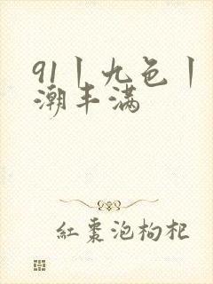 91丨九色丨高潮丰满