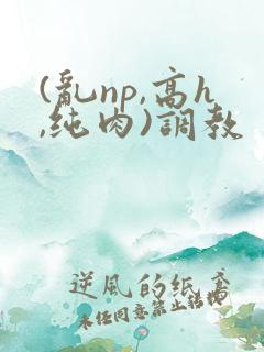 (乱np,高h,纯肉)调教