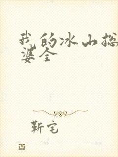 我的冰山总裁老婆全