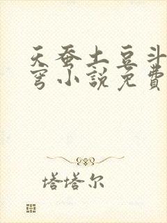 天蚕土豆斗破苍穹小说免费阅读