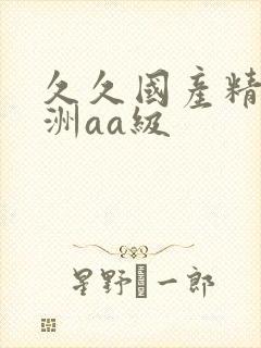 久久国产精品亚洲aa级