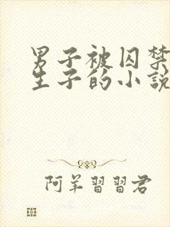 男子被囚禁改造生子的小说