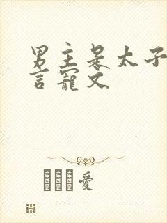 男主是太子的古言宠文