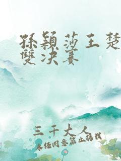 孙颖莎王楚钦混双决赛