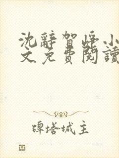 沈辞贺峥小说全文免费阅读无弹窗