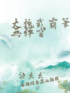 大魏武霸笔趣阁无弹窗