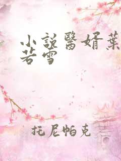 小说医婿叶凡唐若雪