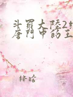 斗罗大陆2绝世唐门中的王冬