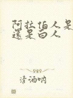 阿拉伯人是黑人还是白人